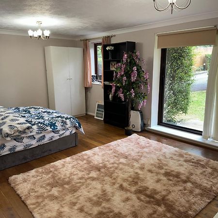 Stunning 2 Bedroom With Garden Sleep 6 Londra Exterior foto